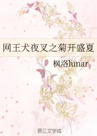 Net King Inuyasha Chrysanthemum Opens Midsummer