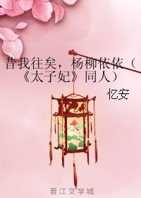 I am gone in the past, Yangliu Yiyi