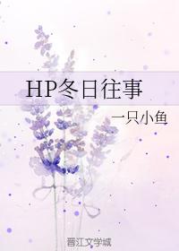 HP Winter Memories