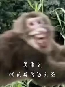 Black Wukong: I'm the Great Sage in Another World